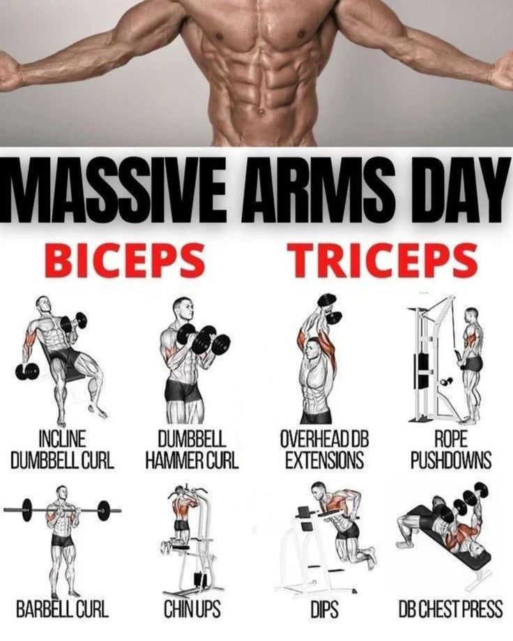 arm workout plan